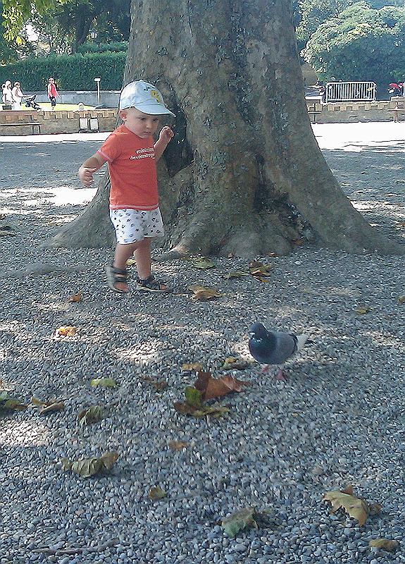 IMAG0612.jpg - petit petit petit....