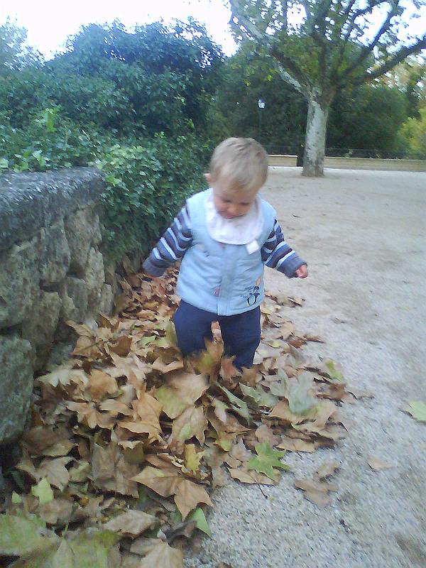 DSC04187.JPG - C'est rigolo de marcher dans les feuilles...